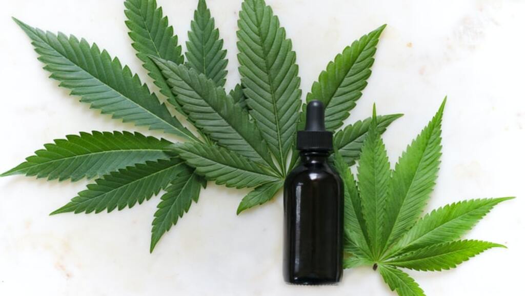 does CBD tincture get you high