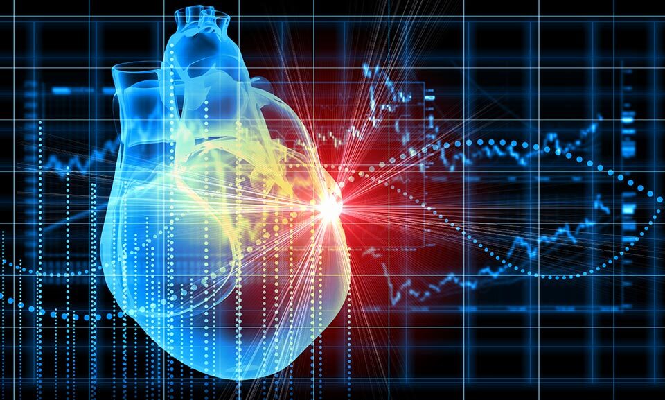effects of cannabidiol on the cardiovascular system