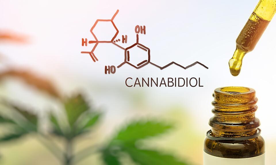 cannabidiol the answer for disorders of motivation