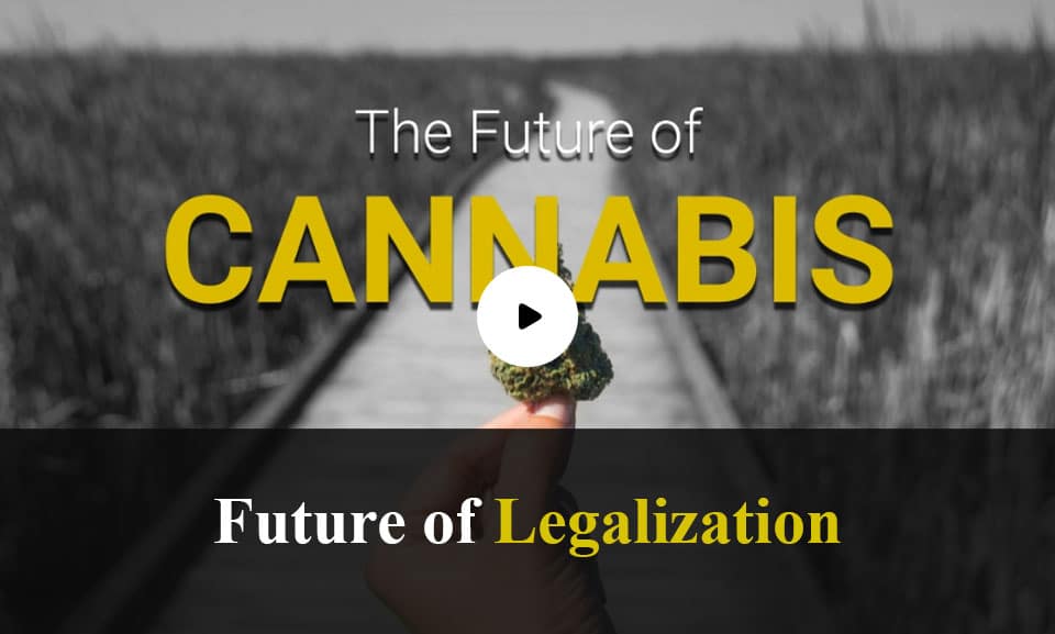 The Future of Canabis Legalization